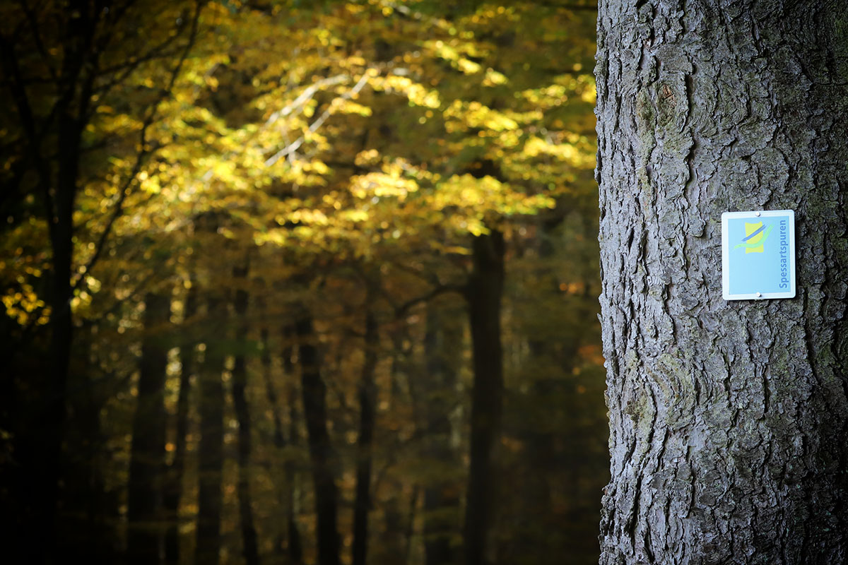 Spessartspuren