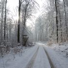 Spessartwinter_2