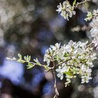 Spettacolare la natura