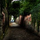 Speyer Gasse #2