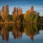 Speyer: Herbst im Spiegel