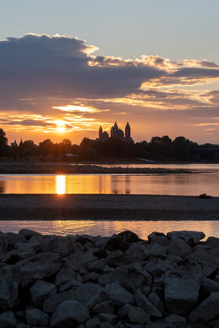 Speyer mit Niedrigwasser