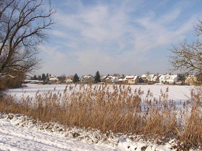 Speyer Süd im Winter