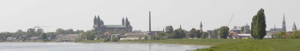 Speyer vom Rhein aus