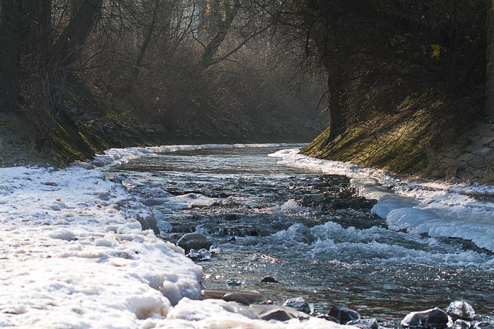 Speyerbach