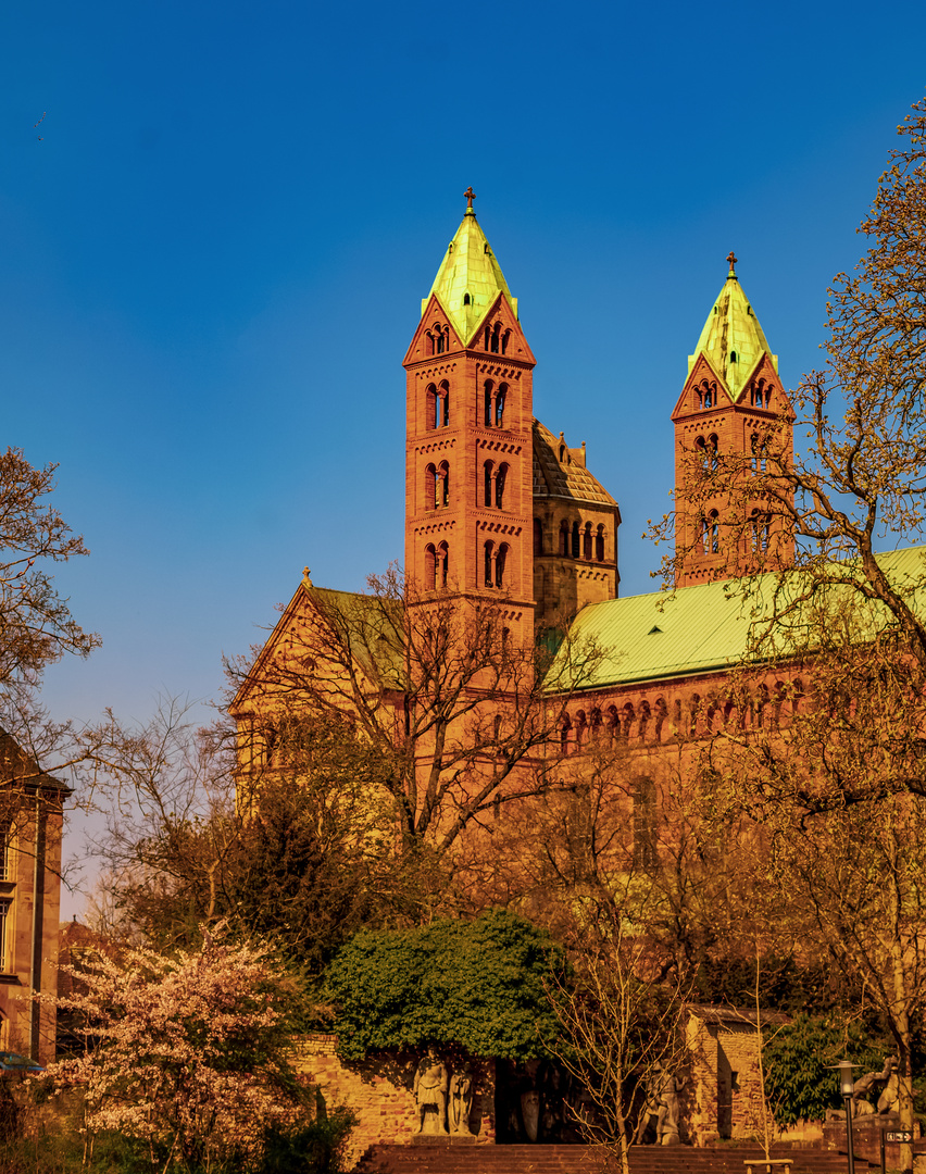 Speyerer Dom im Frühling