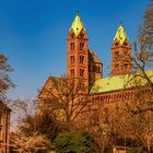 Speyerer Dom im Frühling