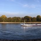 Speyerer Rhein