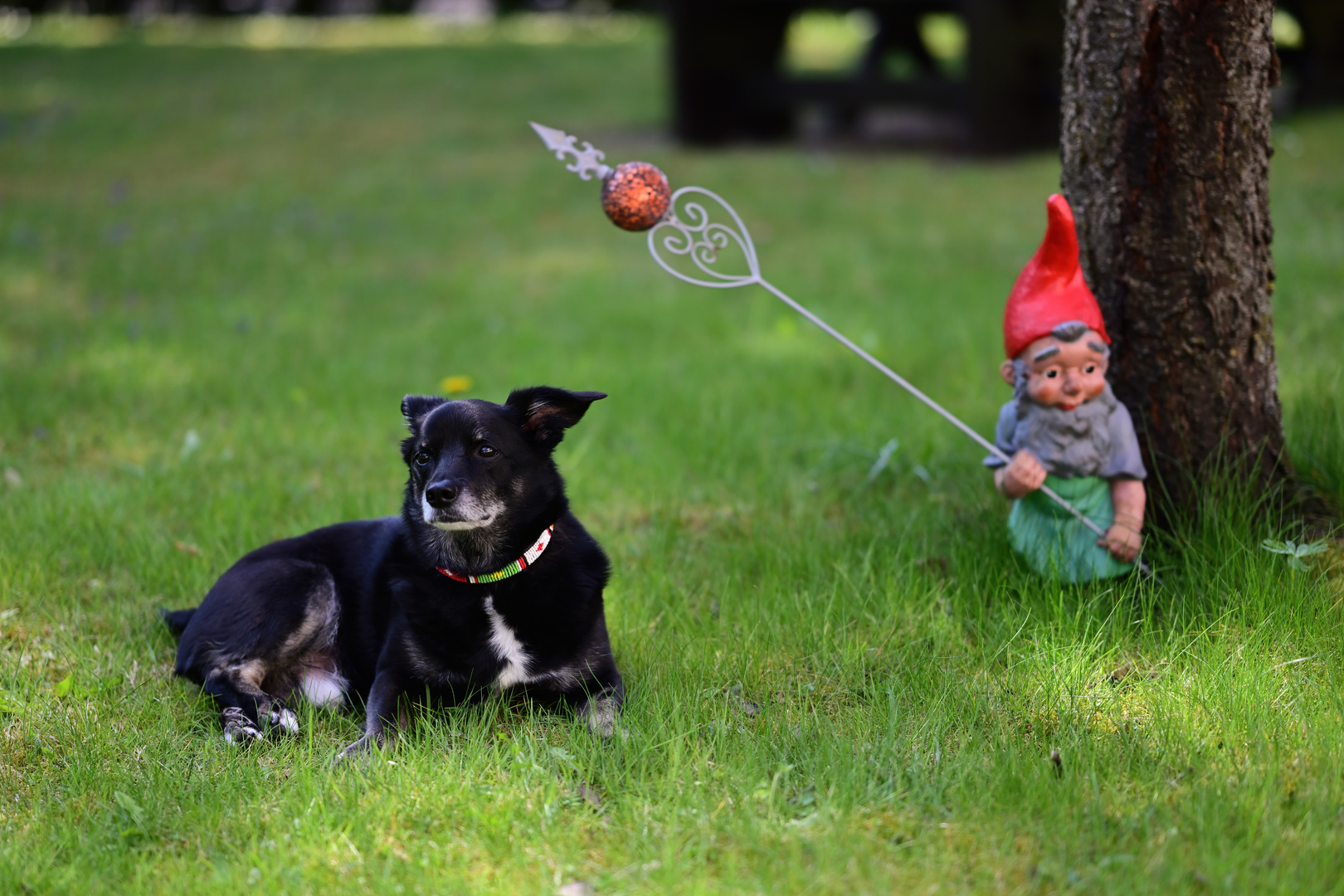 "Spezi" chillt im Garten