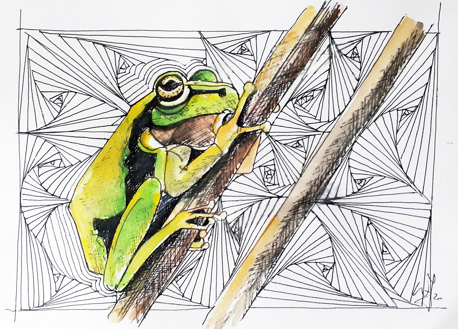 Spezial Frosch Foto &amp; Bild | grafik, aquarell, zeichnen Bilder auf
