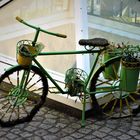 Spezialfahrrad