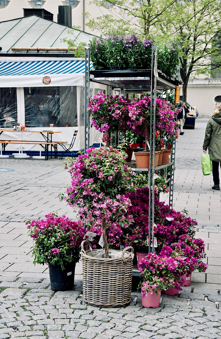 Spezielle Grüße vom Viktualienmarkt