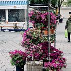 Spezielle Grüße vom Viktualienmarkt