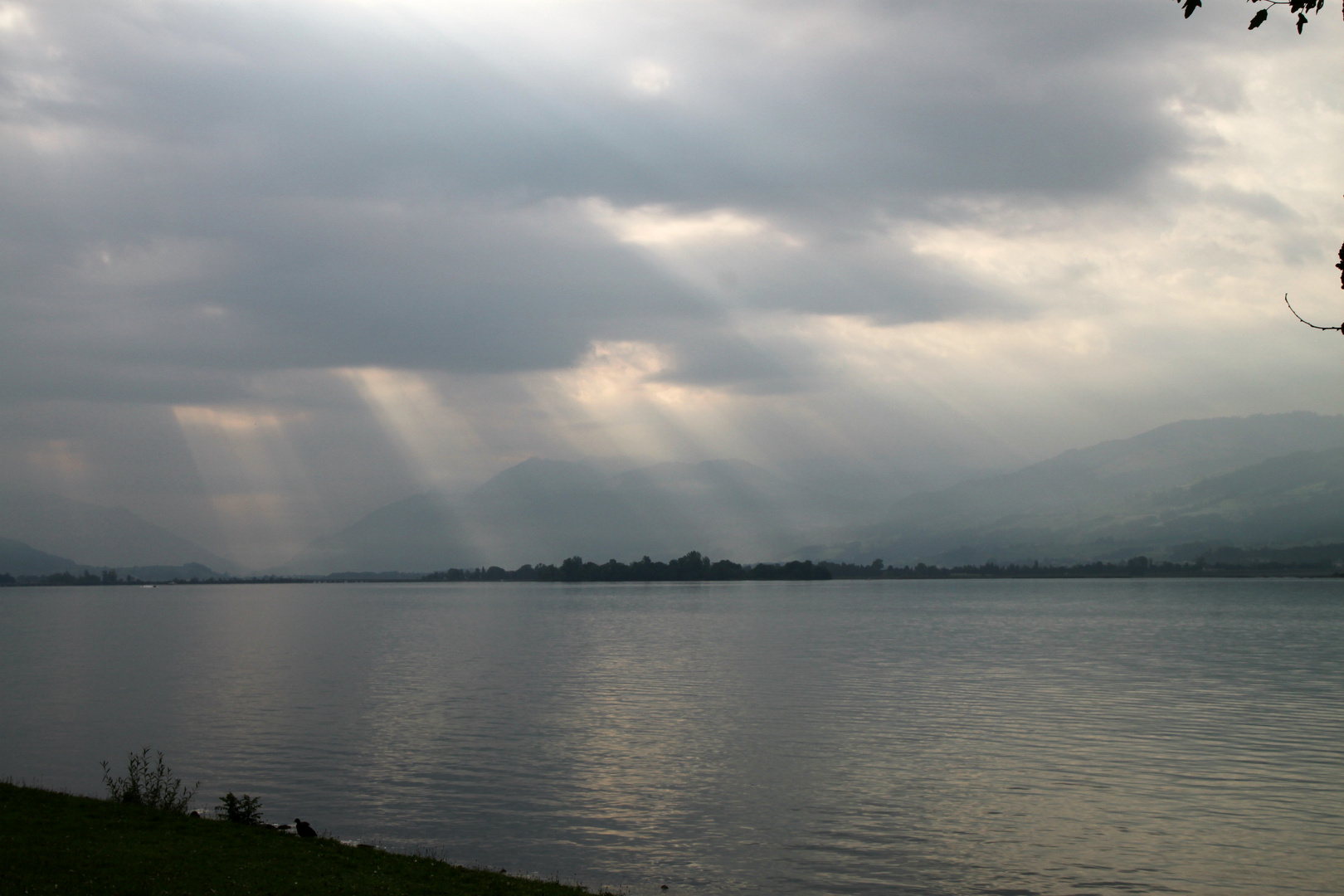 Spezielle Wetterstimmung am Zürichsee