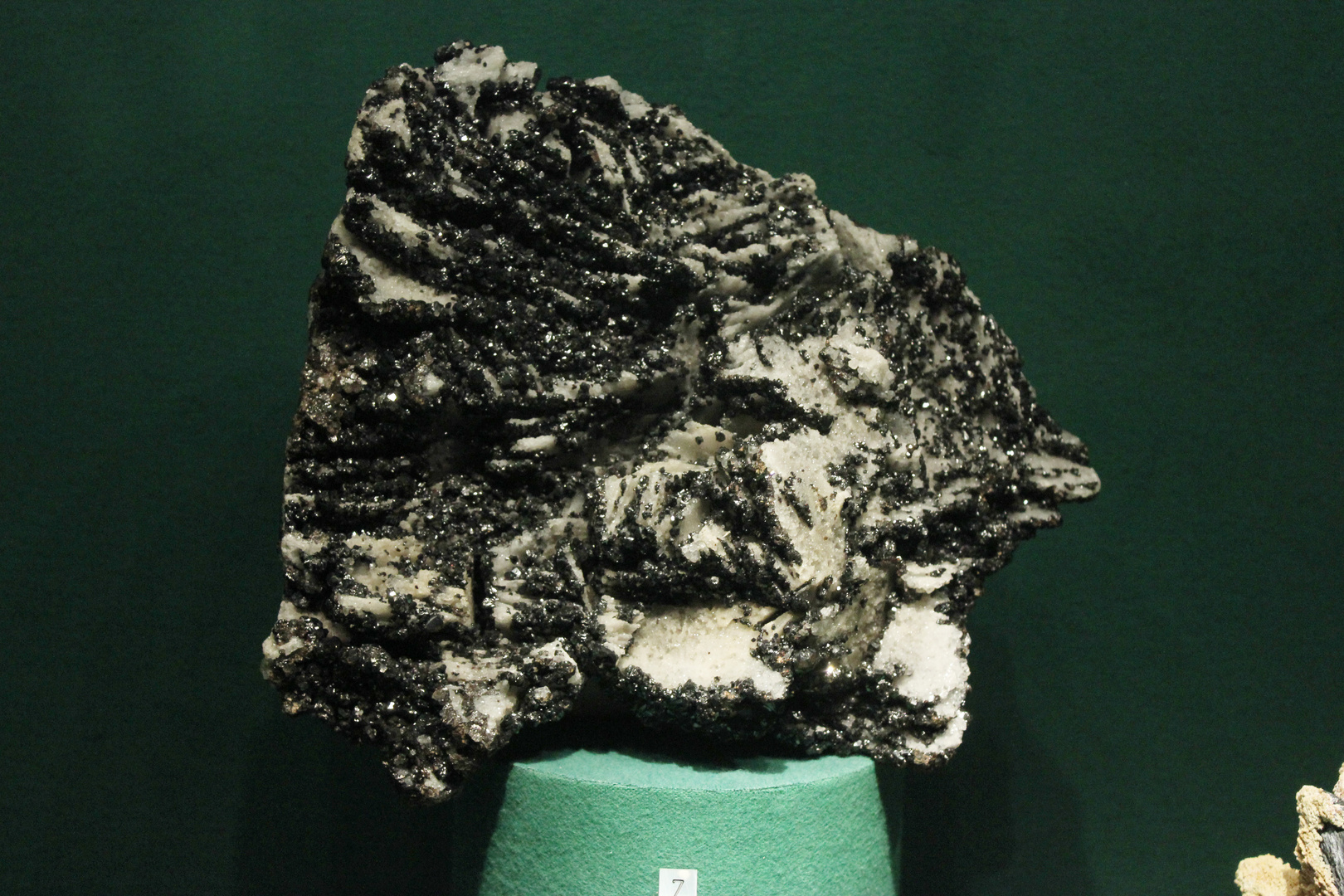 Sphalerite @ Mineralogisches Museum Hamburg