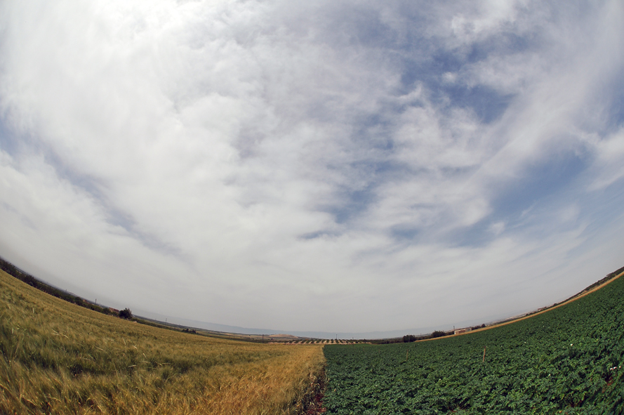 Spheral Horizon