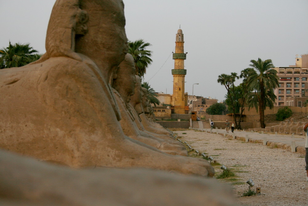 Sphingen-Allee in Luxor 2