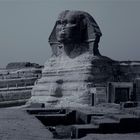 Sphinx 04