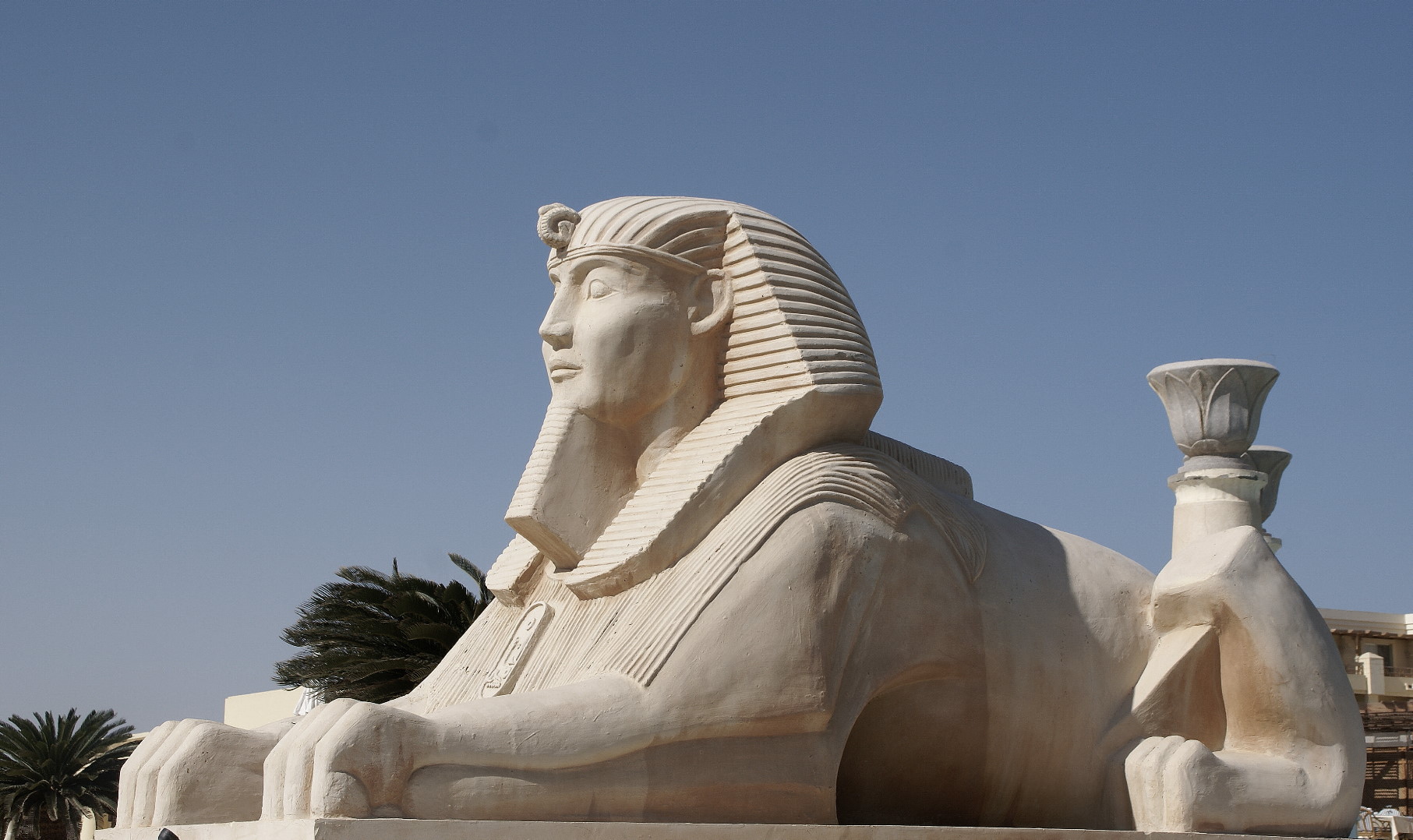 sphinx