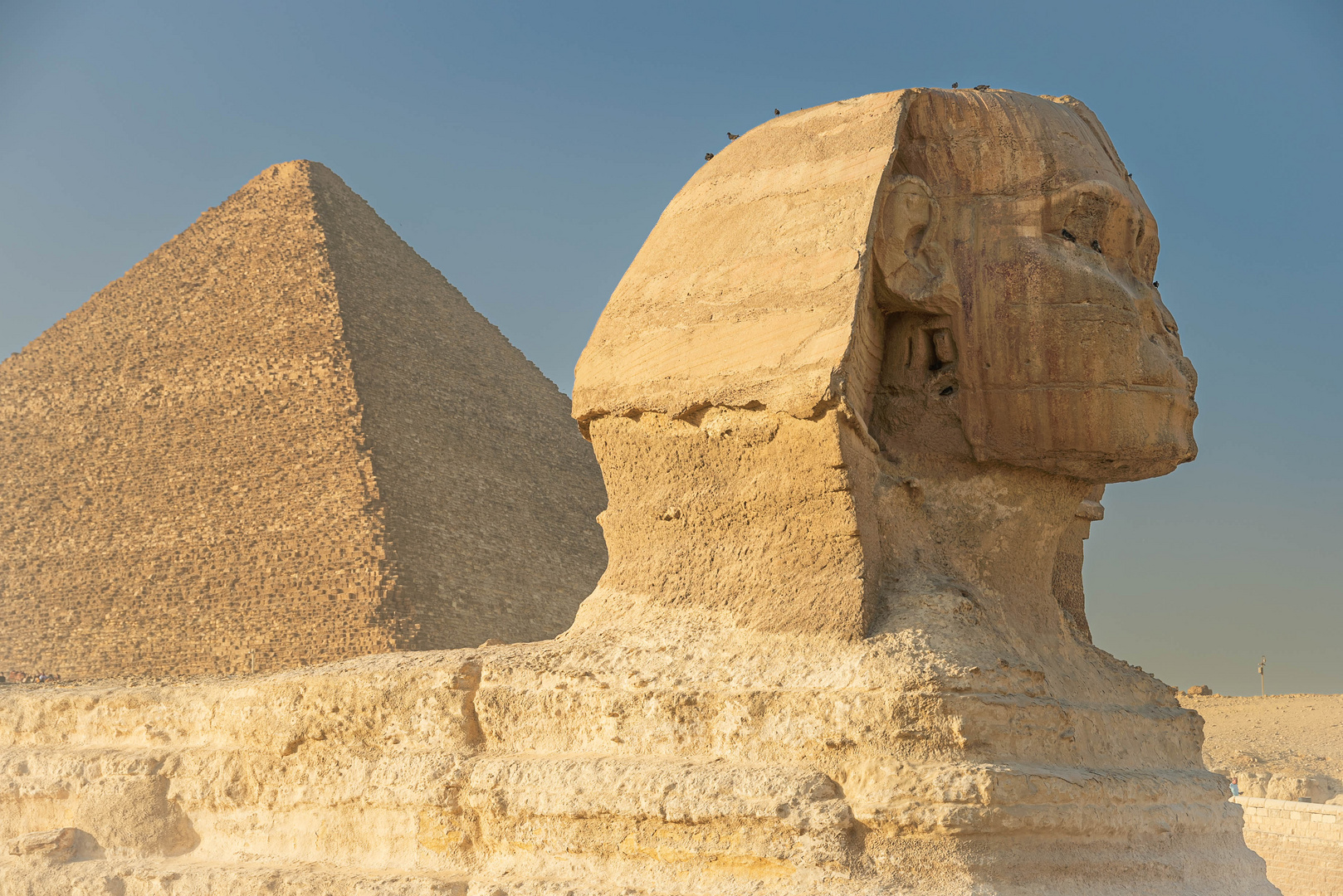 Sphinx