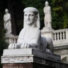 Sphinx at the piazza del popolo in Rome vom Watz