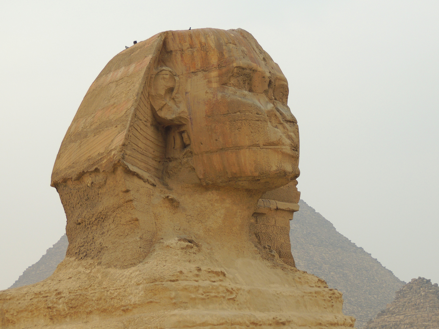 Sphinx