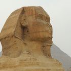 Sphinx