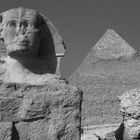 Sphinx mit Pyramide des Chefren