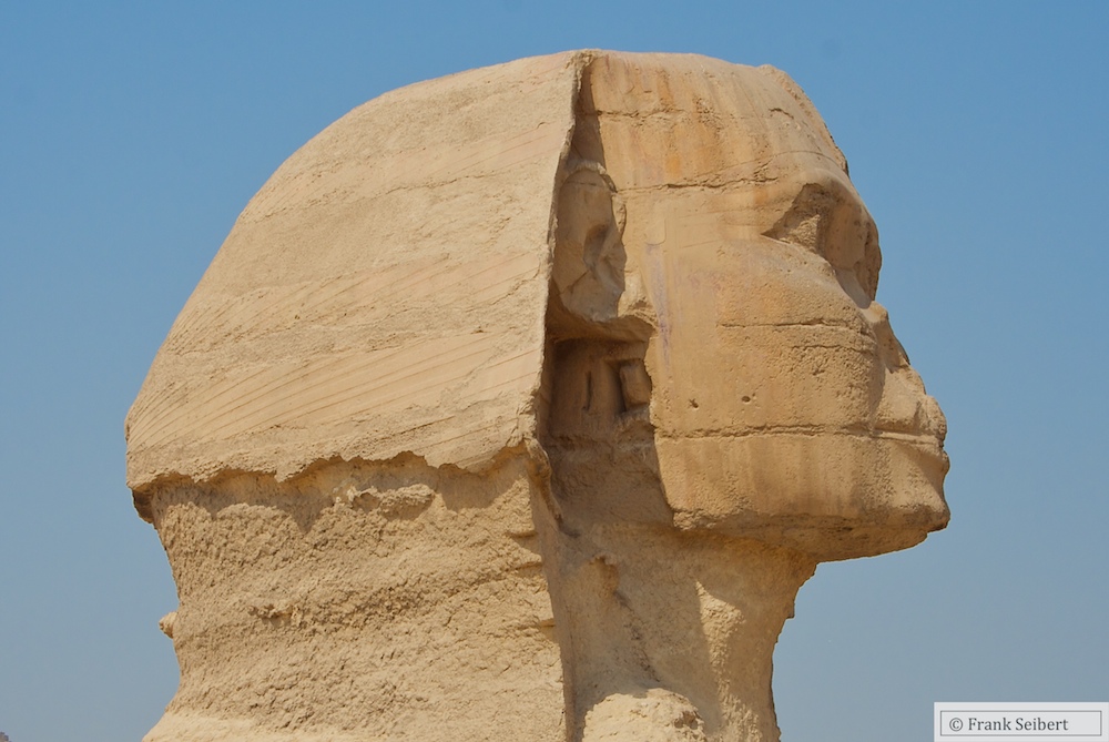 Sphinx Profilfoto