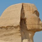 Sphinx Profilfoto