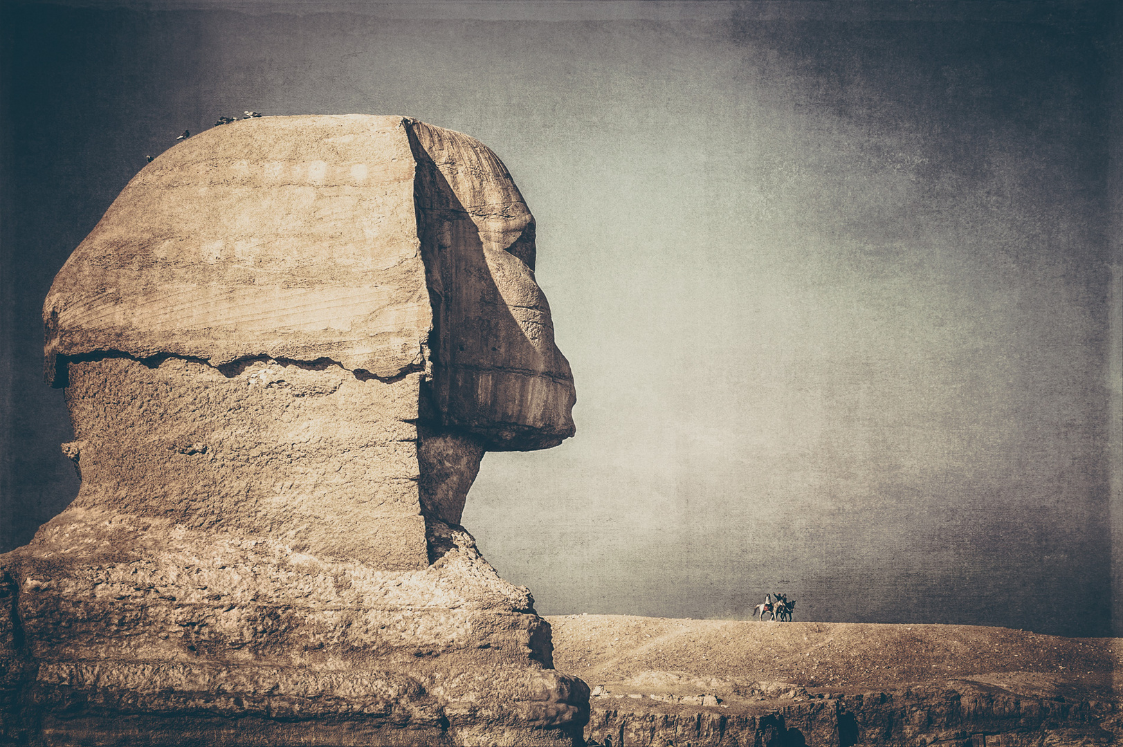 Sphinx und die Reiter