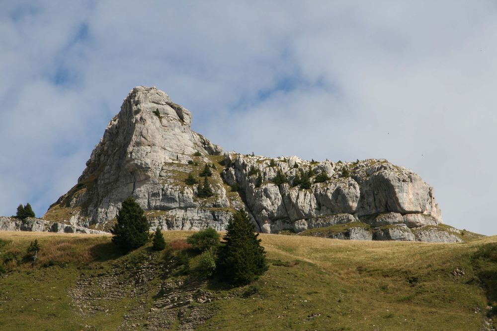 Sphynx von Leysin