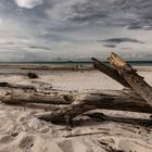 Spiagge bianche