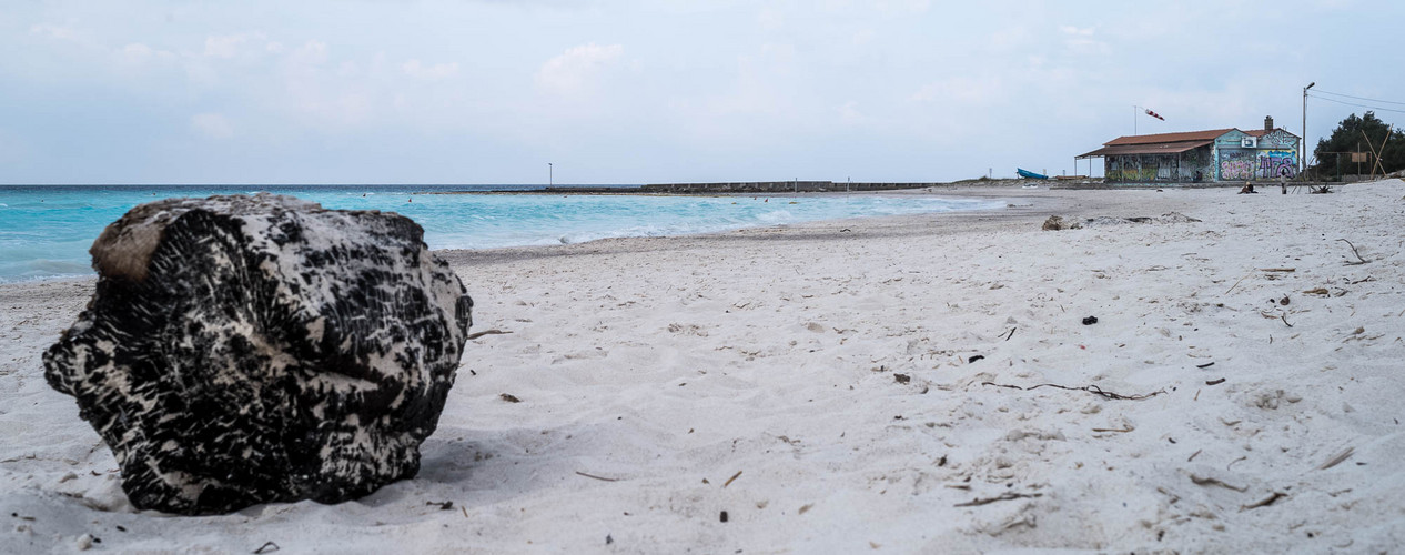 Spiagge Bianche, Rosignano