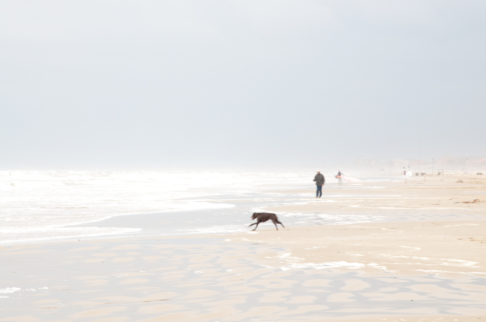 Spiagge invernali