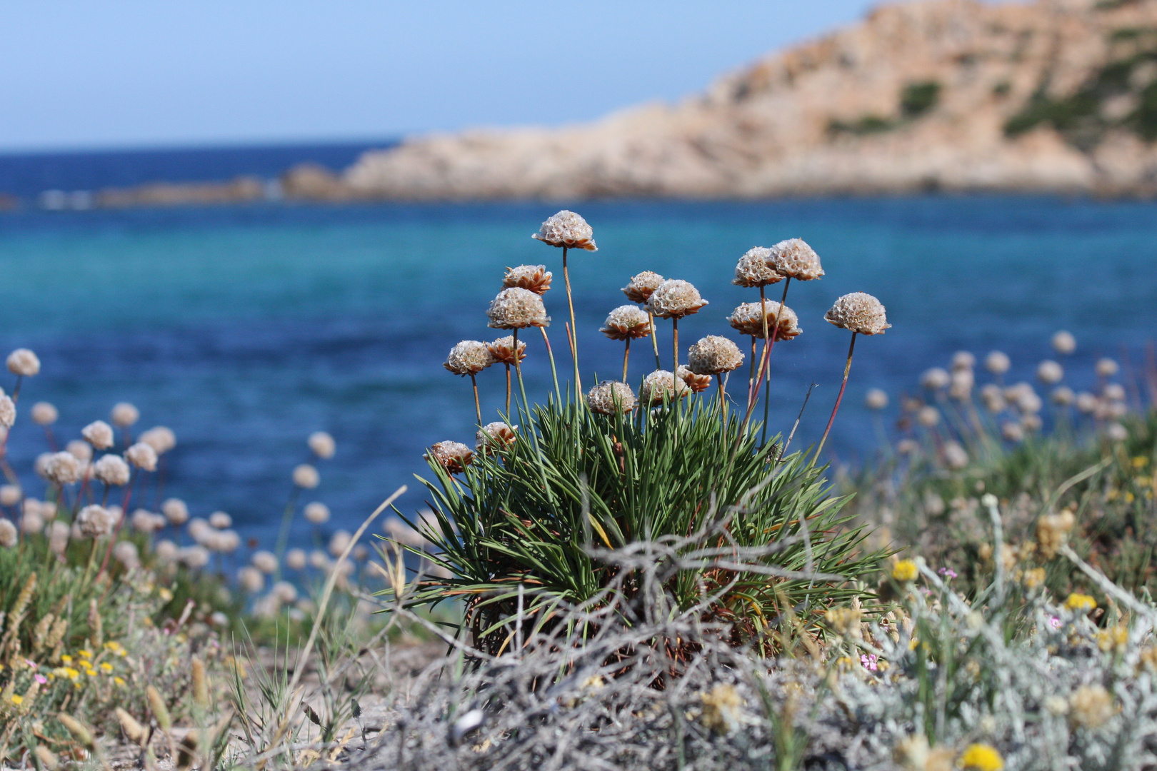 Spiagge Monte Russo