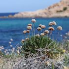 Spiagge Monte Russo