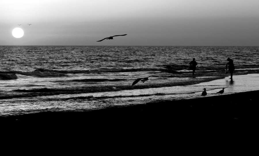 Spiaggia (2)