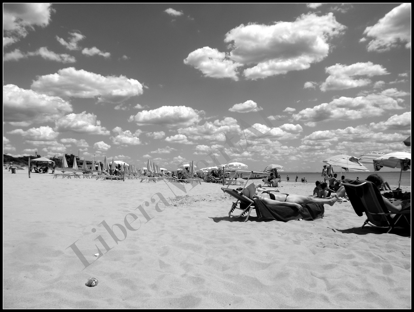 Spiaggia a pecorelle