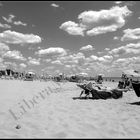 Spiaggia a pecorelle