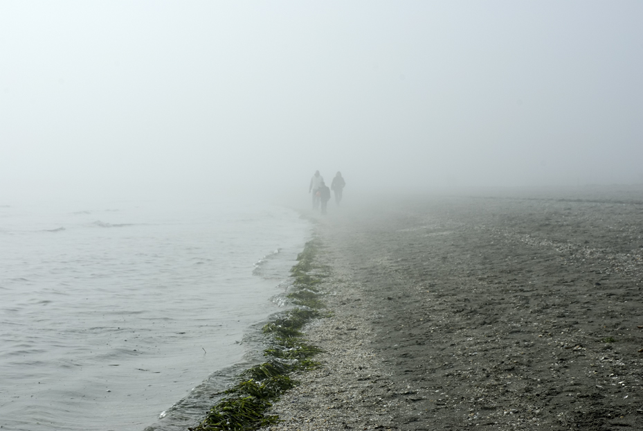 spiaggia con nebbia