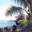 Spiaggia da sogno