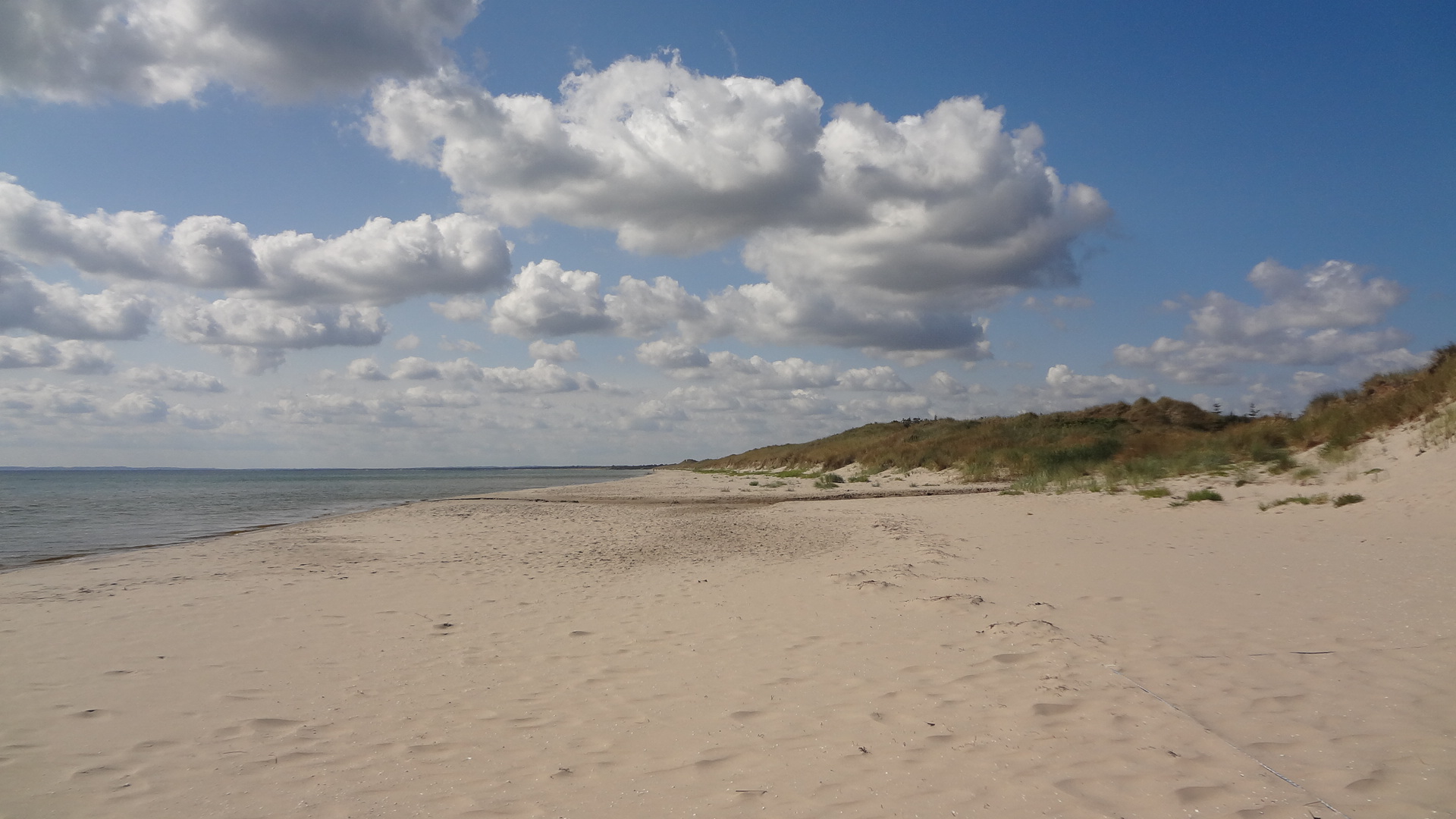 spiaggia danese in agosto