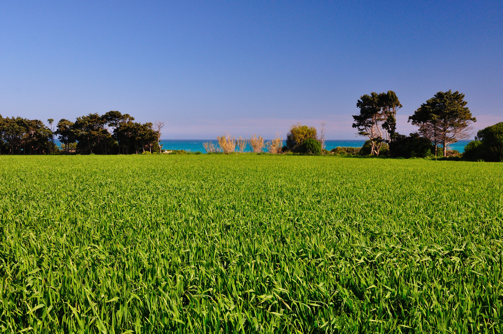 spiaggia del Gelsomineto (I)