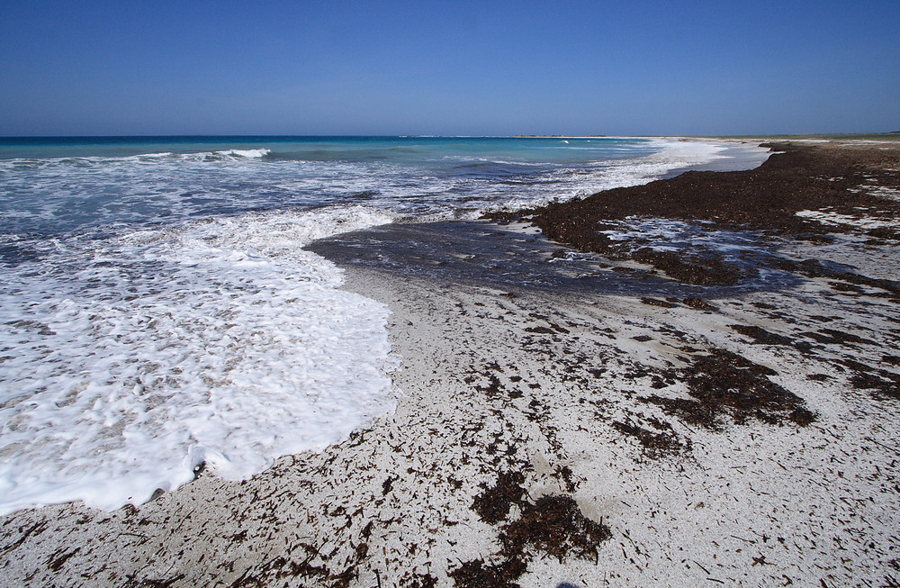 Spiaggia del riso