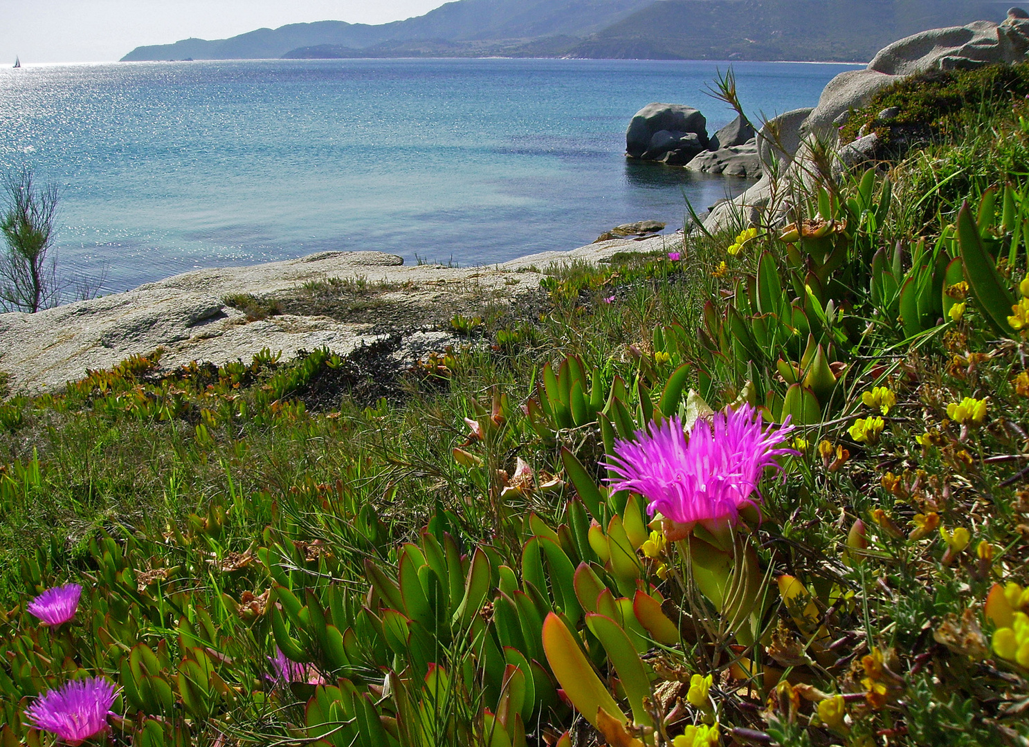 Spiaggia del riso (Villasimius)