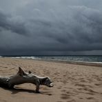 spiaggia deserta