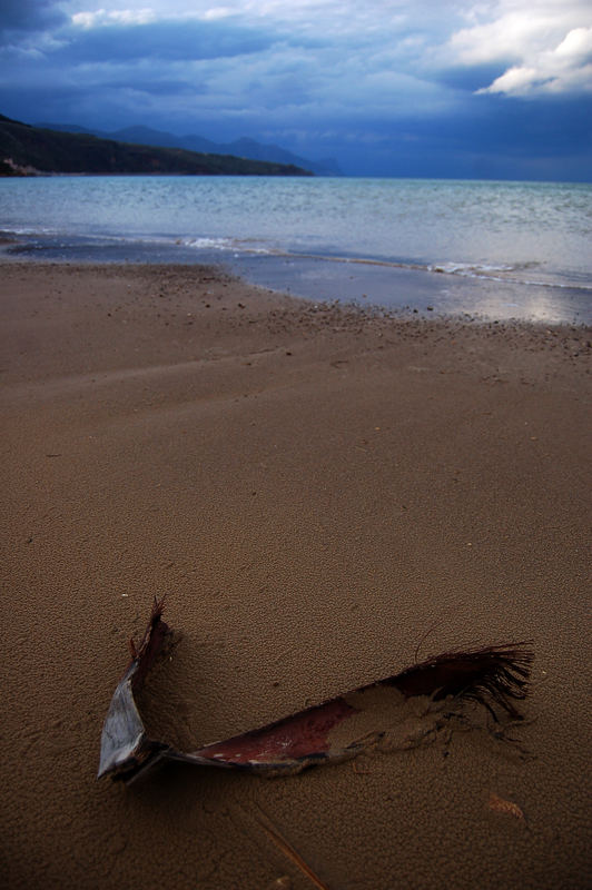 spiaggia desolata