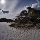 Spiaggia di Bidderosa