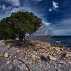 Spiaggia di Bidderosa